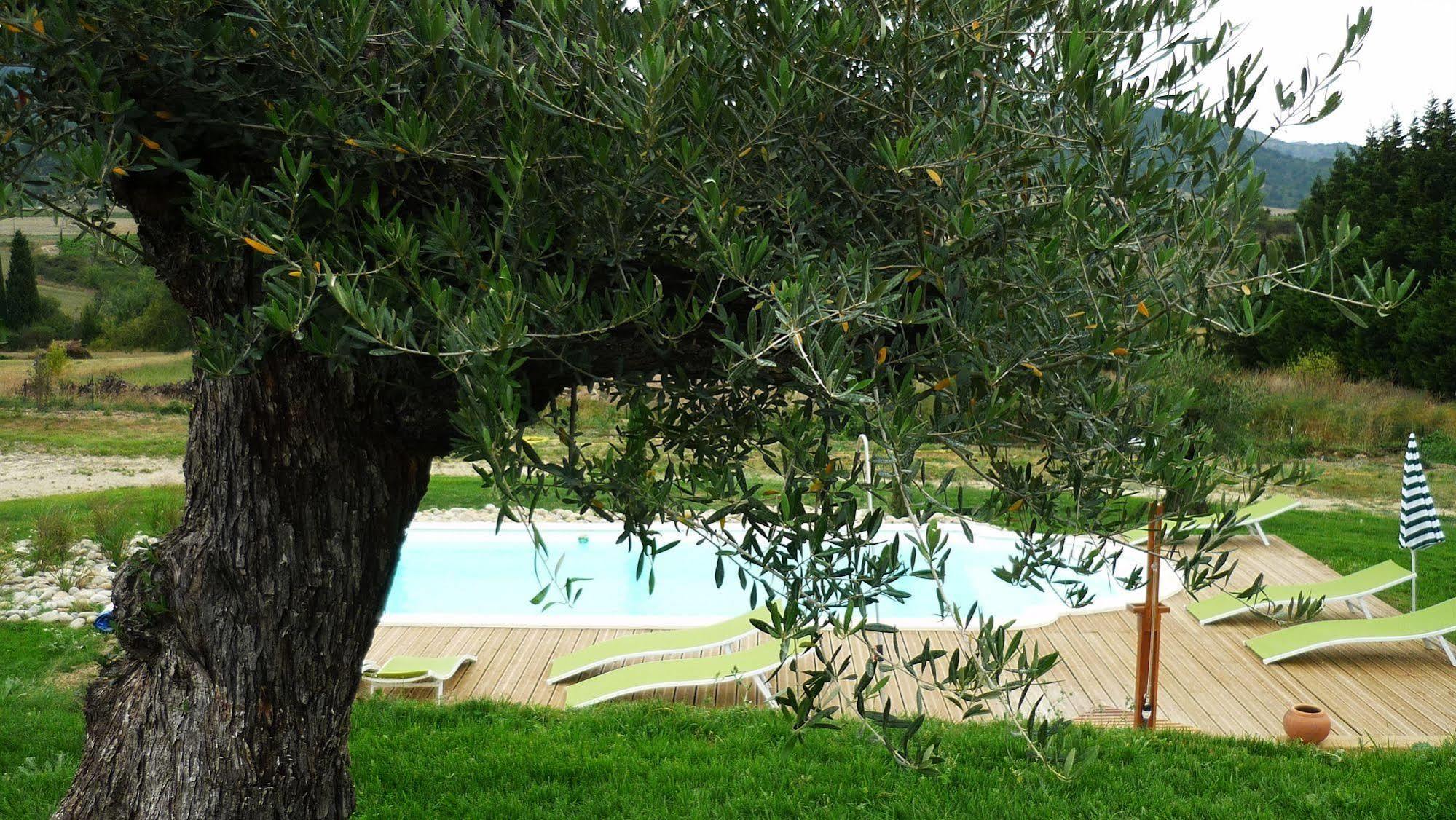 Bed and Breakfast Relais De L'Alsou- Piscine Labastide-en-Val Exterior foto
